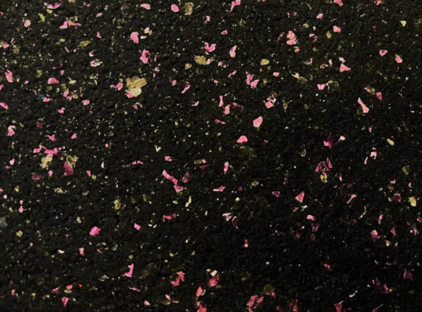 Splendore Black Rose Plus (2x Brilho!)